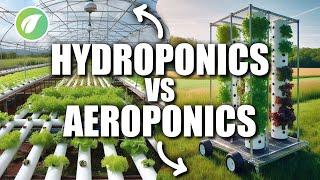 Which Method Reigns Supreme: Hydroponics or Aeroponics