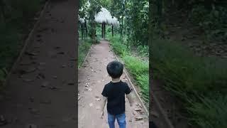Tozo njoying the greenery##oxygen park##tripura tourism##shorts