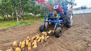 POTATO DIGGER is no longer a “BULLDOZER”. POTATOES as "BANANA"