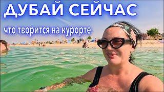 Дубай СЕЙЧАС. Что ПРОИСХОДИТ на КУРОРТЕ️ПЛЯЖ Kite Beach Jumeirah Beach ЦЕНЫ ЕДА. Отдых в Дубае. ОАЭ