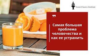 Самая большая проблема человечества и как ее устранить