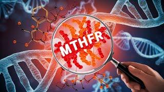 Decoding MTHFR - Understanding the Gene Polymorphism that Affects Us All