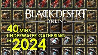 [Black Desert Online] 40mins Underwater Hoe-Gathering in 2024