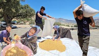 "The Joy of Teamwork: Preparing Wheat for Local Bread"