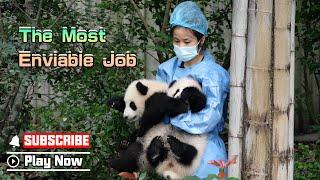 If You Were The Nanny Carrying Two Panda Cuties | iPanda