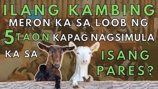 ILANG KAMBING MERON KA sa loob ng 5 TAON kapag nagsimula ka sa Isang Pares?