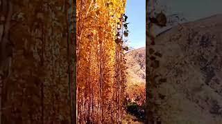 # Autumn #GB #Natural Beauty
