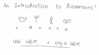 CityU-HongKong: Biosensors Educational Video - Collab with Washington University (2024) [English]