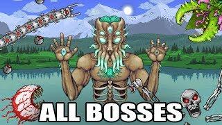 Terraria - All Bosses (Expert Mode) HD 1080p60 PC