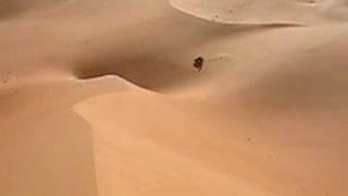 The big Hole: Libyan Desert Murzuq Tracks