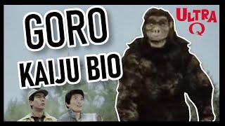 Toho's King Kong Became an Ultraman Kaiju! | Goro Kaiju Bio | Ultra Q Monster Profile