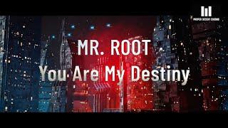 Mr. Root - You Are My Destiny (Official Music Video)