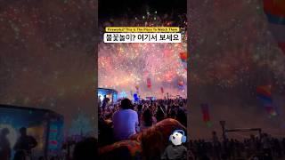 저는 불꽃놀이보러 어디 따로 안갑니다