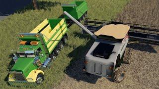 Richport Ep#1 | Harvest | FS19 Timelapse | Farming Simulator 19