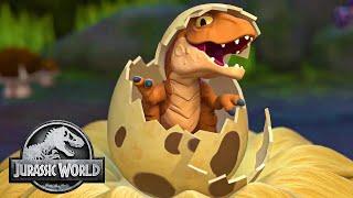 In Search of Dinosaurs! | Jurassic World | @ImaginextWorld