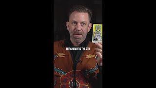 The Chariot Tarot Card - Nashville Shaman Jeff Crawford