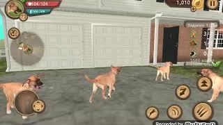 Все прикольные баги в Dog Sim