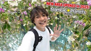 Exploring Tokyo’s New teamLab in Toyosu! Unique Noodles Experience in Odaiba Ep.579