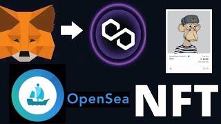 How to watch your TAE | How to add Polygon network to Metamax / Connection to Opensea.