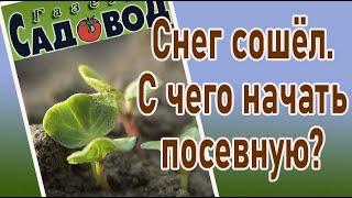 Снег сошёл. С чего начать посевную?