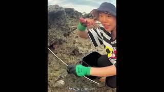 Back to the video of catching crabs on the rocky coast #fishing #hunting #crab