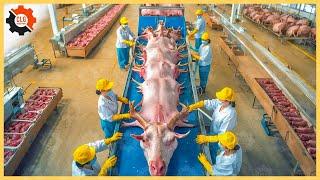 Food Industry Machines That Are At Another Level ▶95
