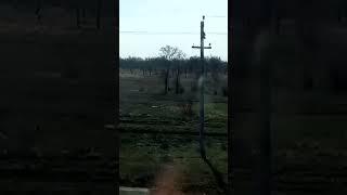 Пейзаж востока Ростовской области из окна поезда Landscape east of Rostov region from train window