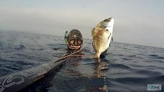 Pescasub : Nel mare della Sardegna in agosto Claudio Basili