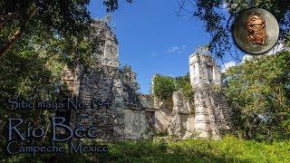 Maya site No. 194. Rio Bec, Campeche, Mexico