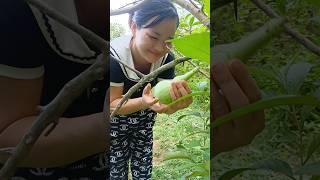 girl and gourd#outdoors #survival #lifehacks #camping #food