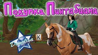 Покупка Пинтабиана |Star Stable Online|