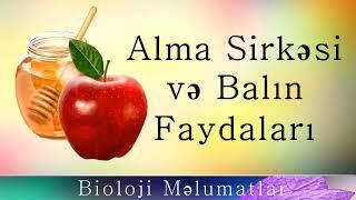 Alma Sirkəsi və Balın Faydaları