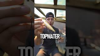 The BEST Topwater Fishing Lure!