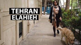 TEHRAN / Elahieh Walking Tour (الهیه) (2022)