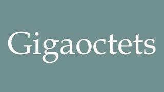 How to Pronounce ''Gigaoctets'' (Gigabytes) Correctly in French