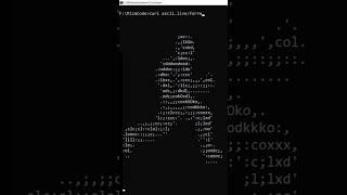 Is he a Man or Gorilla #shorts #coding #programming #trending @MishaCodes