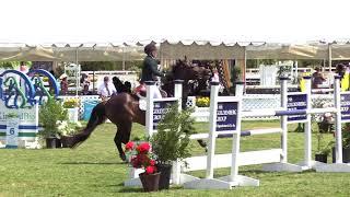 333 Jump Off - Caroline Bell - Boomerang