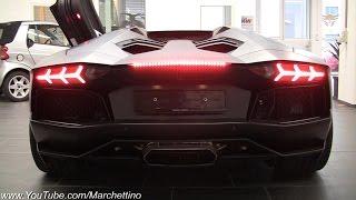 Mean Lamborghini Aventador w/ Sport Exhaust Start & Rev!