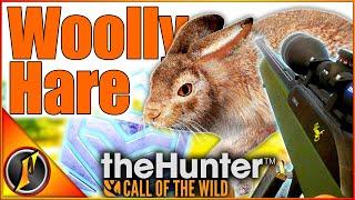 Diamond Woolly Hare! | One More Diamond to Go! | Call of the Wild