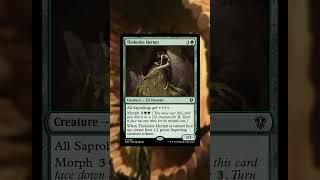 Shroofus Sproutsire EDH |5 Cards Under 50¢| #mtg #edh #commander #budget #foundation #halloween