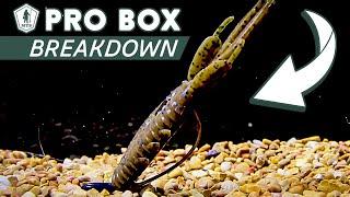 Breaking Down The Baits From a Recent MTB Pro Box with TightLineTV!