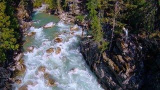 Epic Backcountry Fly Fishing Adventure | Catching Cutthroat & Rainbow Trout