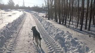 Поехал в Москву.На зимние каникулы.