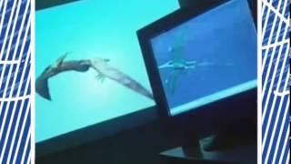After Effects video prodution by WRDesing (Wolf Rainer).