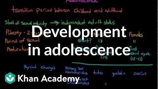 Physical development in adolescence | Behavior | MCAT | Khan Academy