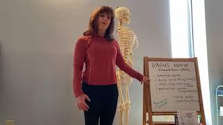 Calming Down Part 1: Vagus Nerve Stimulation (Annie Weisbrod)
