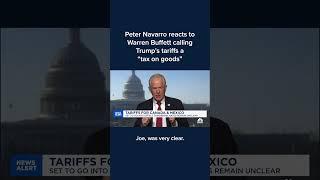 Peter Navarro reacts to Warren Buffett calling Trump's tariffs a 'tax on goods'