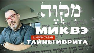 Тайны иврита - Миквэ - מִקְוֶה