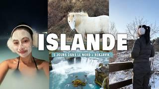 À la découverte du NORD de l’ISLANDE (baleines, Akureyri, et cascades incroyables) ️