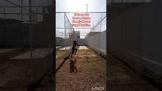 Hassan Farhan Googly Master Target Bowling #cricket #fakherzaman#cricketshorts#trending#shorts#fyp